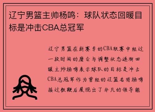 辽宁男篮主帅杨鸣：球队状态回暖目标是冲击CBA总冠军