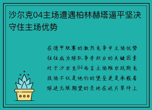 沙尔克04主场遭遇柏林赫塔逼平坚决守住主场优势