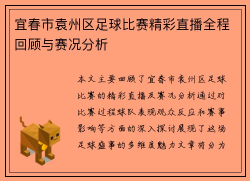 宜春市袁州区足球比赛精彩直播全程回顾与赛况分析